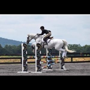 Meet your Posher, Haley